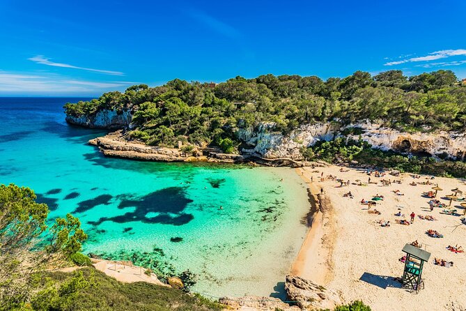 "Best Beaches Mallorca Experience with Guide, SUP, and Snorkel" - Key Highlights You’ll Care About