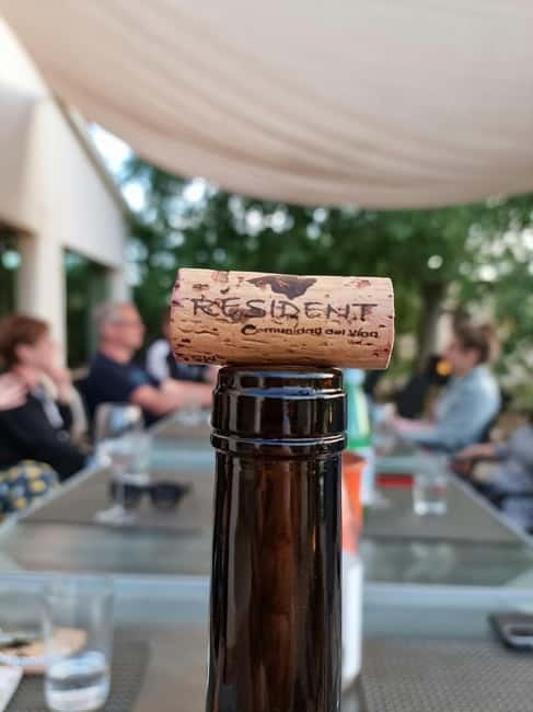 Binissalem: Individual vineyard tour and wine tasting in German - Inside Bodega Resident Wein: how the wine gets made