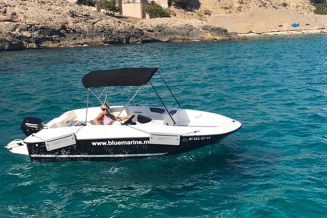 Bluemarine.me license free Bayliner Element E5 rental - Key Things I’d Bet On With Bluemarine’s Bayliner E5