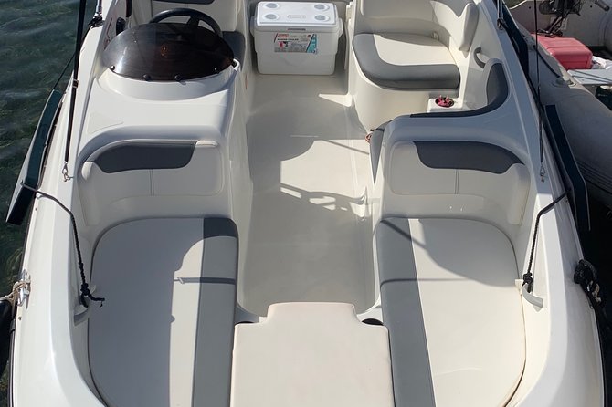 Bluemarine.me license free Bayliner Element E5 rental - Dolphins, Beaches, and Sunset Timing You Can Control