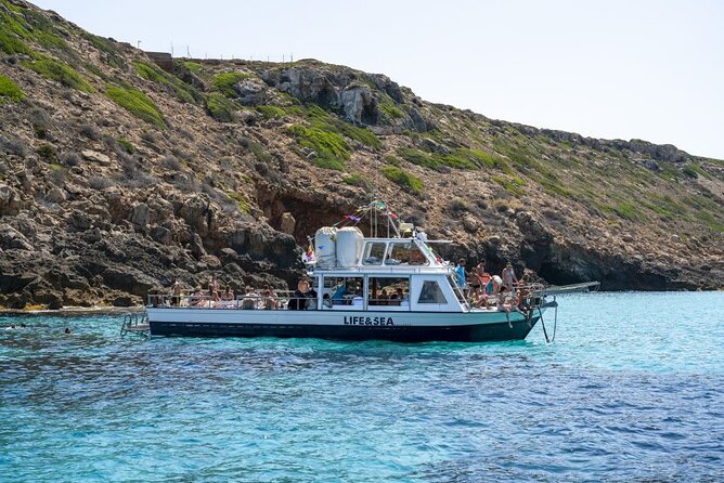 Boat Tour 2 hour in Palma Bay - Logistics That Can Save Your Day (Meeting Point, Transit, Timing)