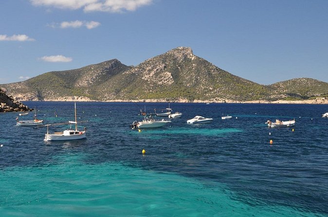 Boat trip to Dragonera Island and San Telmo from Andratx - Should You Book the Andratx to Dragonera and Sant Elm Boat Trip?