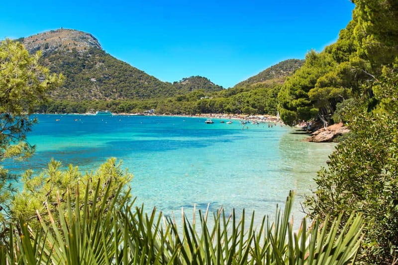 Breathtaking Formentor by Land and Sea - Who this trip suits best, and who should skip it