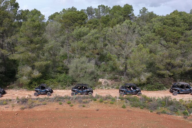 Buggy 2-seater and 4-seater Off-On Road Tour in Mallorca - First Impressions From the Playa de Palma Meeting Point