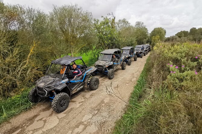Buggy 2-seater and 4-seater Off-On Road Tour in Mallorca - The Driving Rules That Save You From Day-Of Headaches
