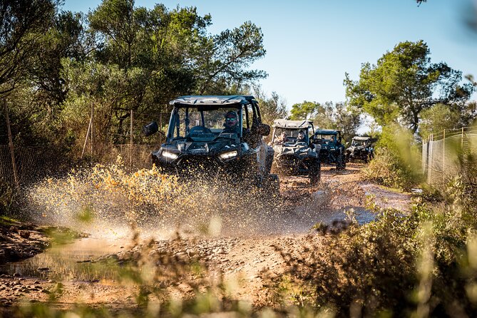 Buggy 2-seater and 4-seater Off-On Road Tour in Mallorca - 542 Meters and a True 360-Degree View