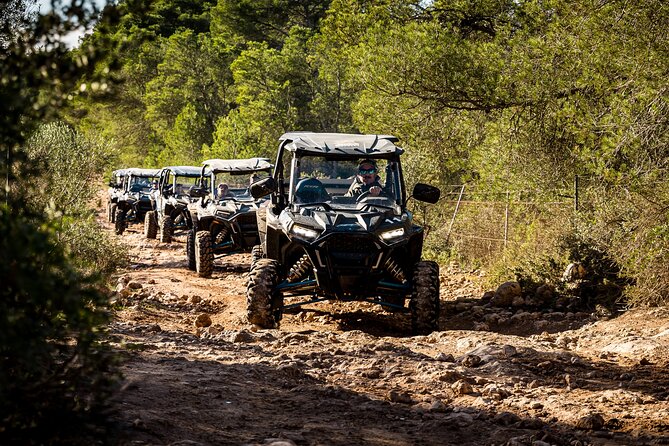 Buggy 2-seater and 4-seater Off-On Road Tour in Mallorca - What the Ride Feels Like: Dust, Speed, and Simple Controls