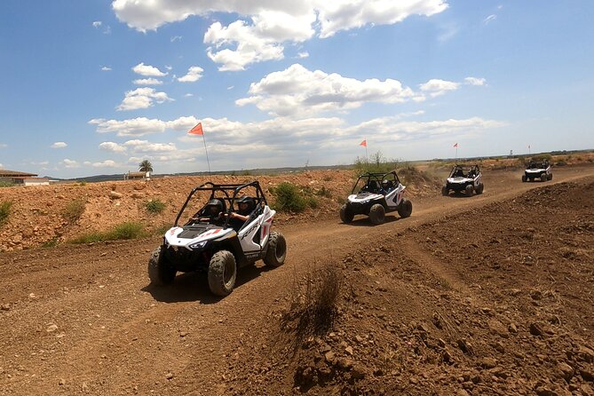 Buggy for children in Mallorca - What Happens During the About-20-Minute Session
