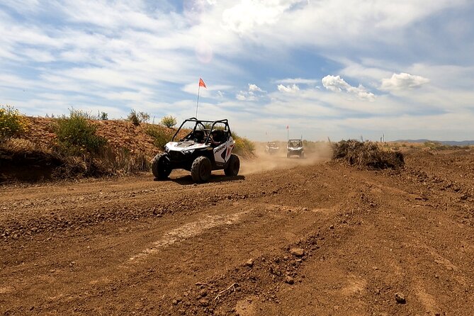 Buggy for children in Mallorca - Who This Is Best For (and Who Might Skip It)