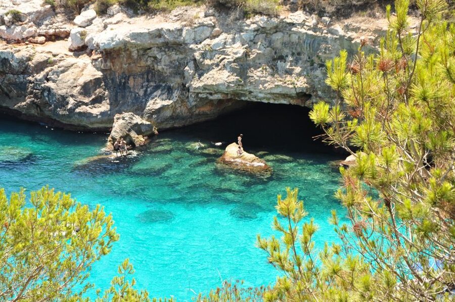 Cala des Moro/S'Almunia: Snorkel and SUP Tour - Your van day: pickup, flow, and how you avoid the hassle