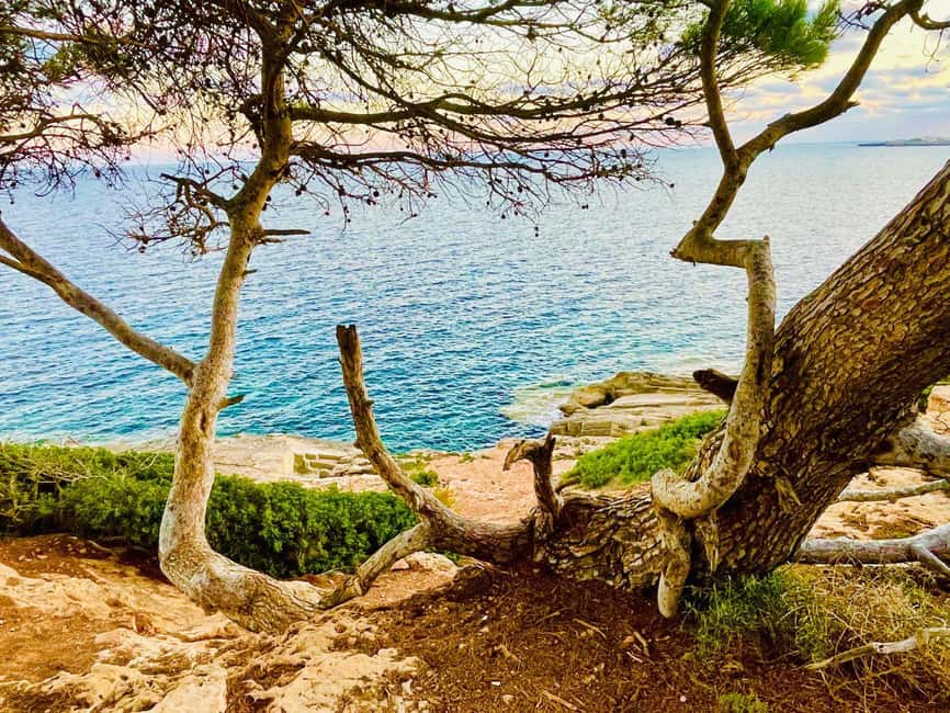 Cala Millor: real treasure hunt in natural reserve, fun walk - Why this pirate treasure hunt feels more like an adventure