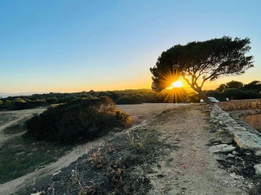 Cala Millor: real treasure hunt in natural reserve, fun walk - Price and value: is $17 per group up to 5 worth it?