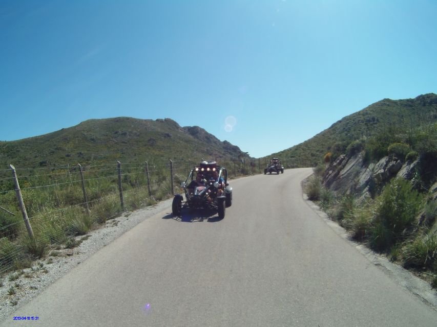 Cala Millor/Sa Coma: Guided Buggy Tour - The return to Cala Millor: photo stops and guided viewpoints