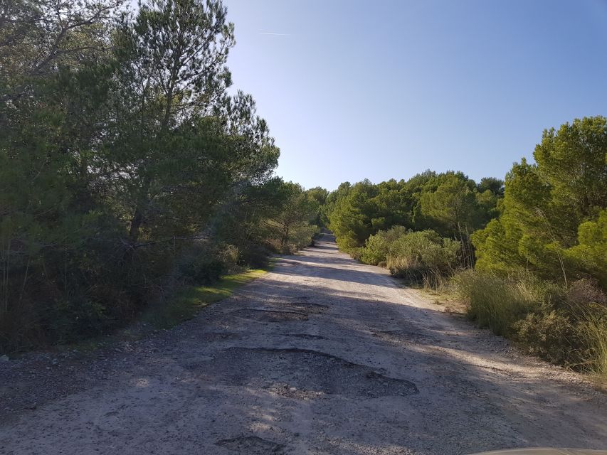 Cala Millor & Sa Coma: Jeep Touren – Natur entdecken - Off-road is out, so where does the adventure come from?