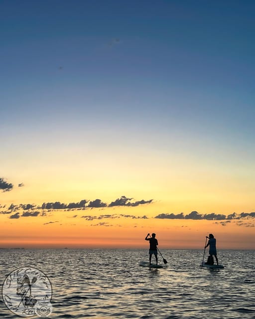 Cala Ratjada: Stand Up Paddle Sunrise Tour - Key highlights that matter on the water