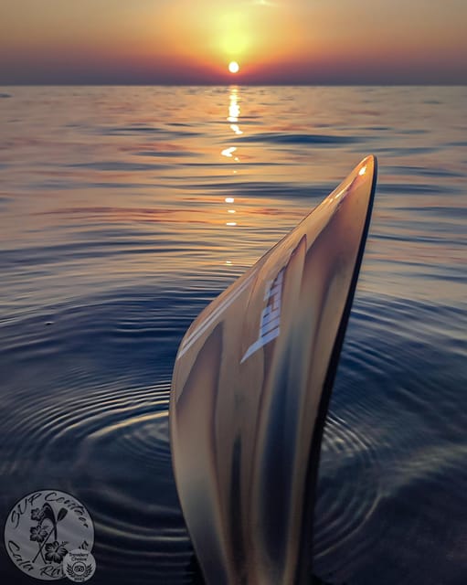 Cala Ratjada: Stand Up Paddle Sunrise Tour - Your SUP lesson: what you should listen for