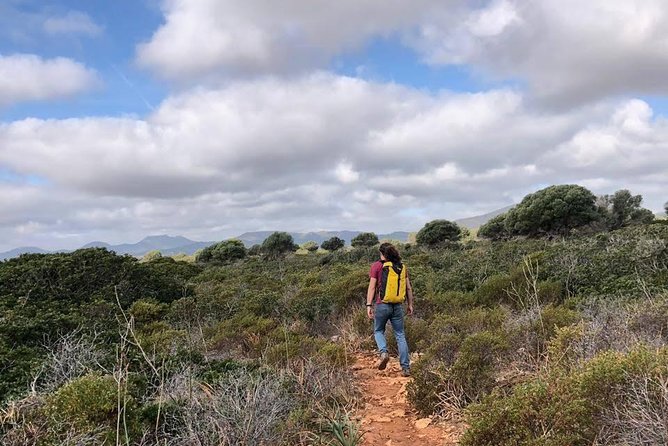 Cala Romantica Water Cave Adventure - Trek back: finish strong, then recover