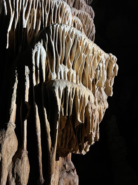 Cala Romàntica: Water Cave Adventure in Cave Es Coloms - Key highlights you’ll remember from Cala Romàntica to Es Coloms