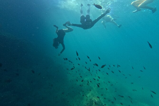 Cala Varques: Guided kayak Sea caves expedition & snorkeling - Cala Varques snorkeling: the part that makes the trip feel active