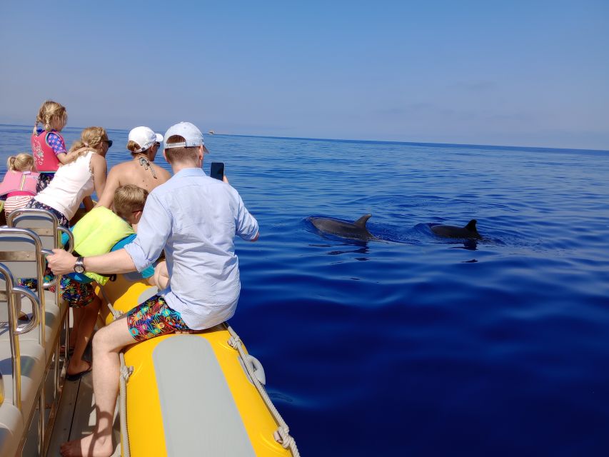 Can Picafort: Dolphin Watching Boat Tour, Swimming stop - Fast RIB sailing from Can Picafort Yacht Club