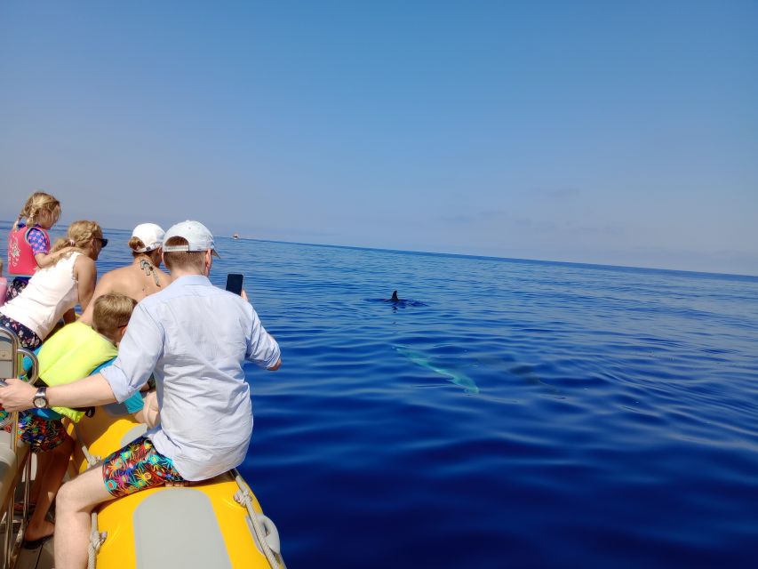 Can Picafort: Dolphin Watching Boat Tour, Swimming stop - What you pay for: value of $82 for 3 hours on the water