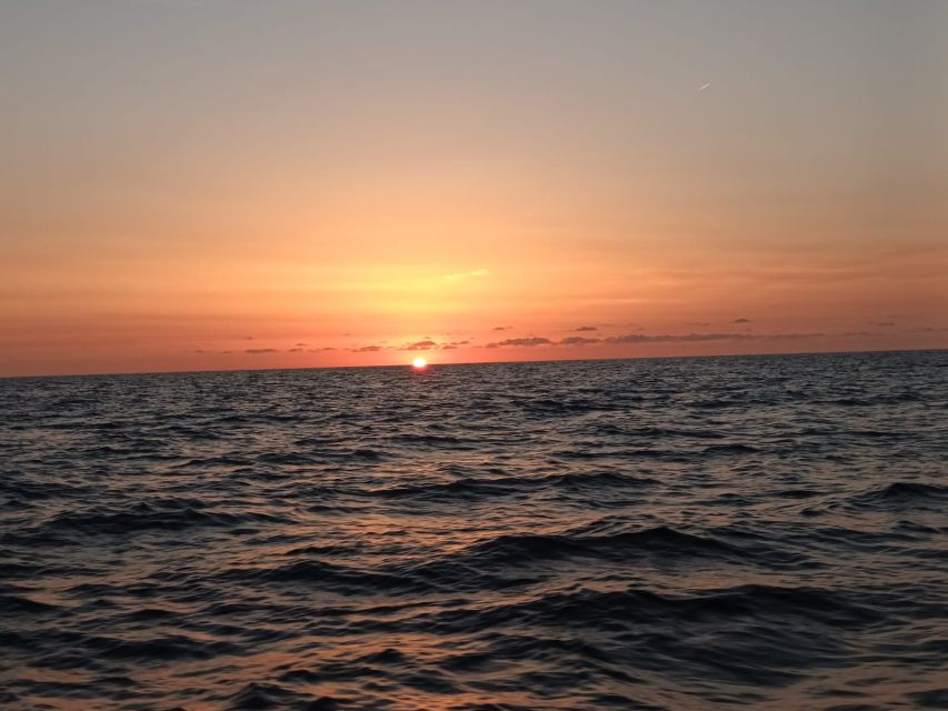 Can Picafort: Dolphin Watching Boat Tour, Swimming stop - The practical stuff: what to pack and how to handle sea spray
