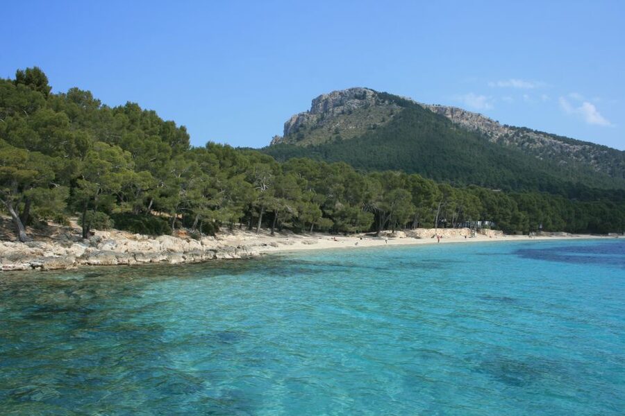 Cap de Formentor: Market, Beach, and Alcudia Tour - Port de Pollença free time: a calm landing spot