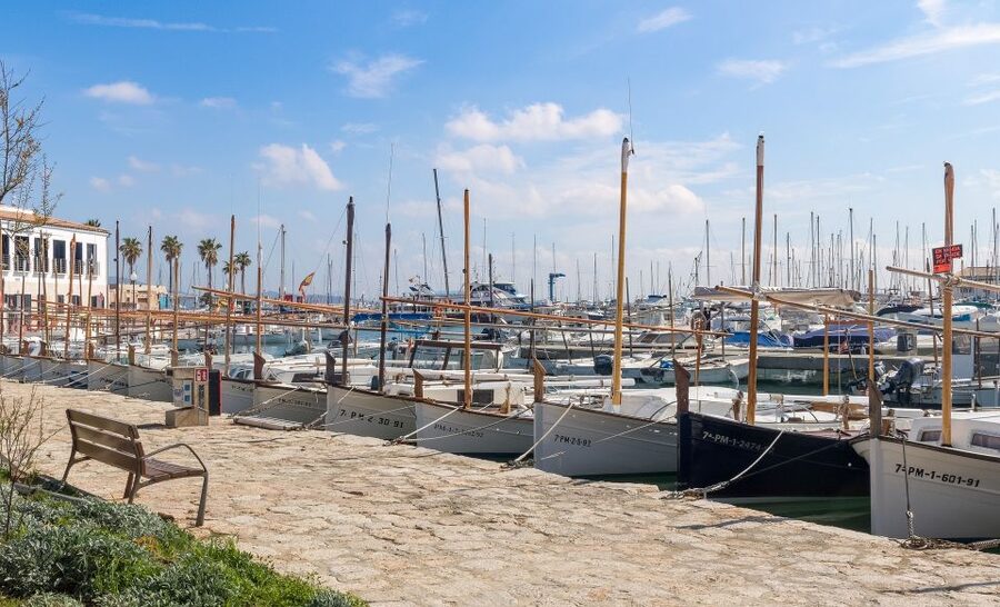 Cap de Formentor: Market, Beach, and Alcudia Tour - Group-day reality: language, pacing, and comfort