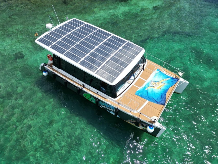 CATAMARAN ECO EXPERIENCE at Palma Bay - Key highlights to know before you go