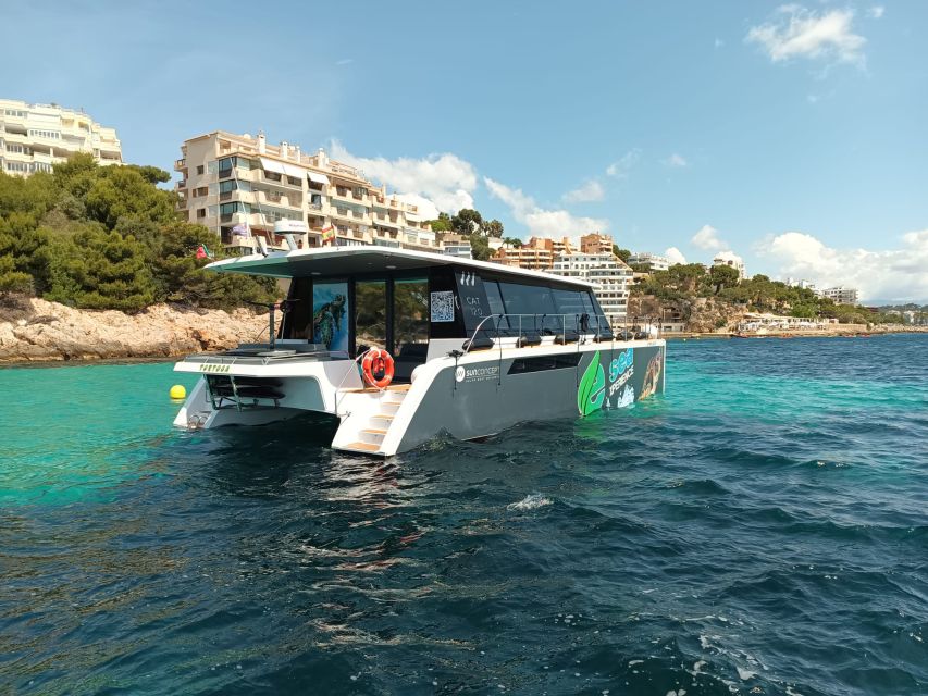 CATAMARAN ECO EXPERIENCE at Palma Bay - Snorkeling equipment and 6 underwater scooters, the main event