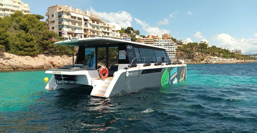 CATAMARAN ECO EXPERIENCE at Palma Bay - The plan on the water: Illetas, Cala Comtesa, and Punta Negra