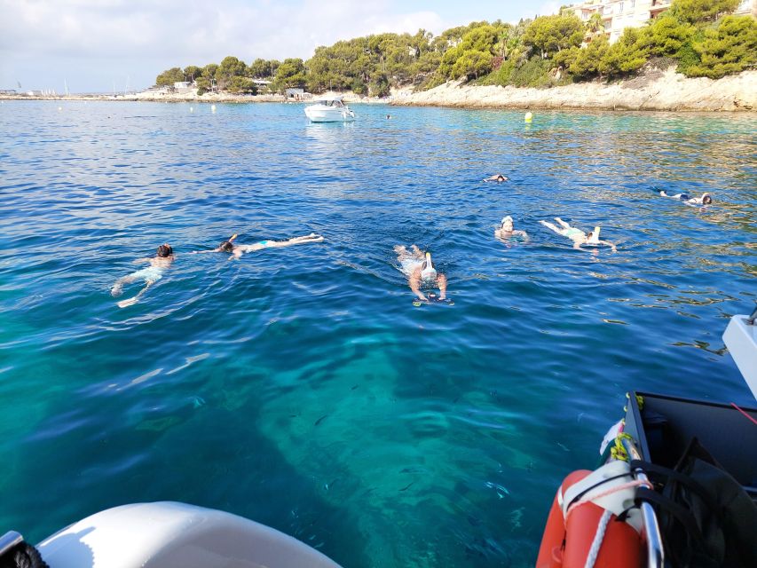 CATAMARAN ECO EXPERIENCE at Palma Bay - Eco sailing on a solar-electric catamaran, what that means for you