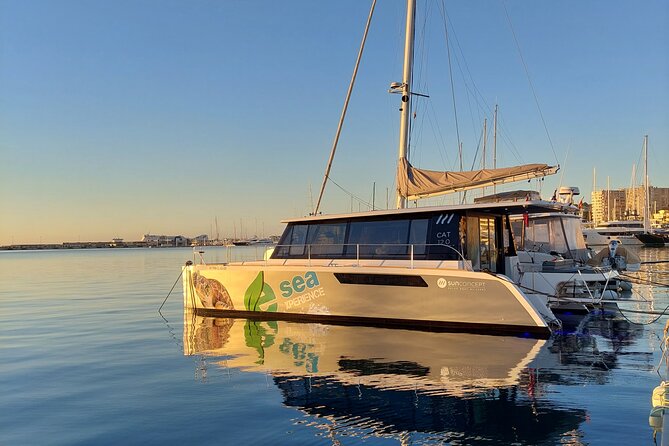 Catamaran Mallorca Eco Experience - What makes it special in plain language