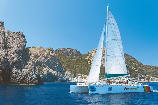 Catamaran Trip in Alcudia - Key Highlights You’ll Actually Care About