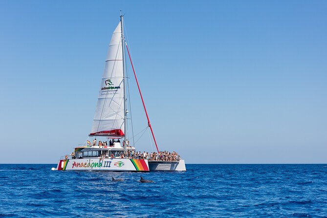 Catamaran Trip in Alcudia - Cap Formentor Lighthouse Views on the Water