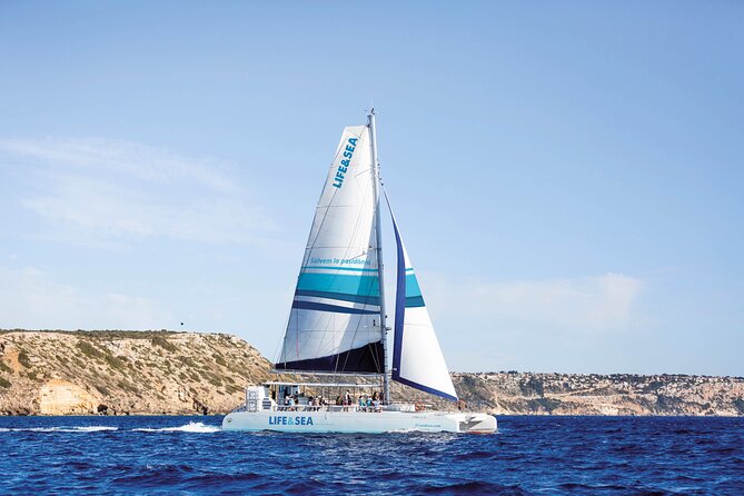 Catamaran with BBQ in the Bay of Palma - Key Highlights You’ll Care About