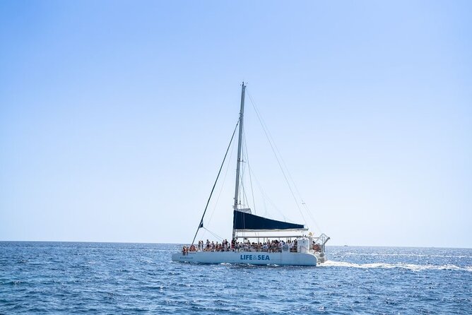 Catamaran with BBQ in the Bay of Palma - Sailing Toward the Nature Reserve: Views, Breezes, and Unhurried Time