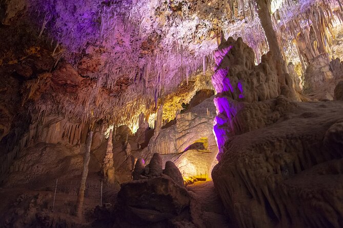 Caves Drach Boat Trip from Alcudia with Return Bus and Tickets - Cuevas del Drach: the real reason to book