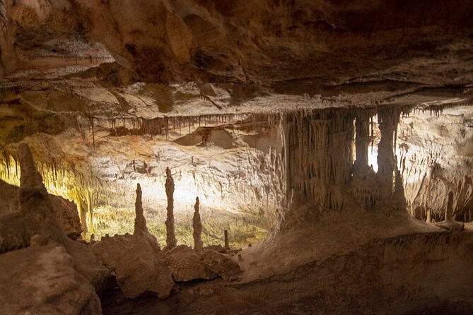 Caves Drach Boat Trip from Alcudia with Return Bus and Tickets - Group size, pacing, and why the day can feel long
