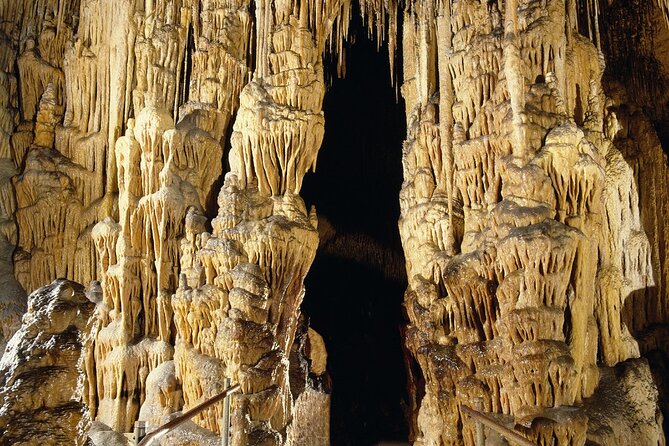 Caves Drach Tour & Return Transfer from Cala Dor-Calas Mallorca - From Cala dOr to the Caves, the transfer is half the win