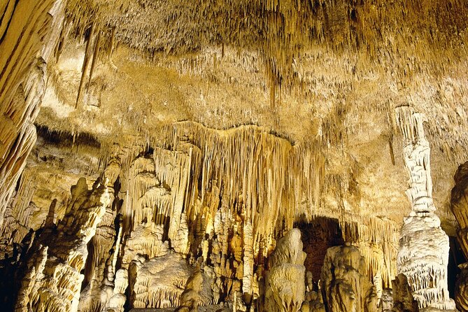 Caves Drach Tour & Return Transfer from Cala Dor-Calas Mallorca - Majorica Pearls in Porto Cristo, a quick factory stop with retail time