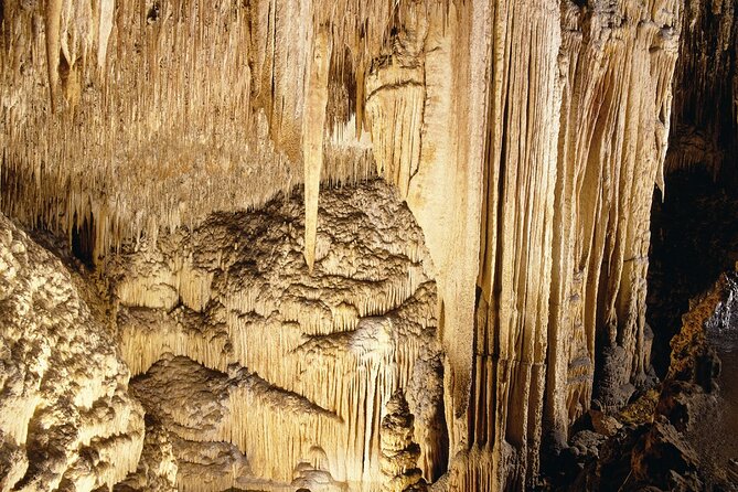 Caves Drach Tour & Return Transfer from Cala Dor-Calas Mallorca - Price and value: what you are really paying for
