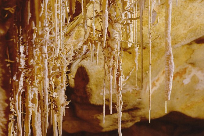 Caves Drach Tour & Return Transfer from Cala Dor-Calas Mallorca - Who should book this Caves of Drach tour (and who should think twice)