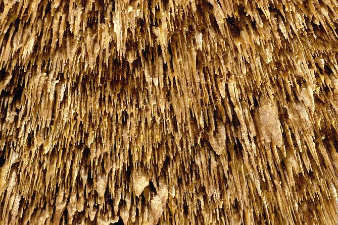 Caves of Drach Half-Day Tour with Boat Trip and Music Concert - Guides and pacing, including what to do about crowds