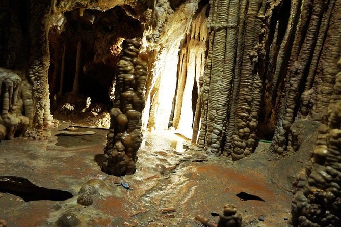 Caves of Genova Admission in Palma de Mallorca - The 20-minute cave visit: what your time is actually used for