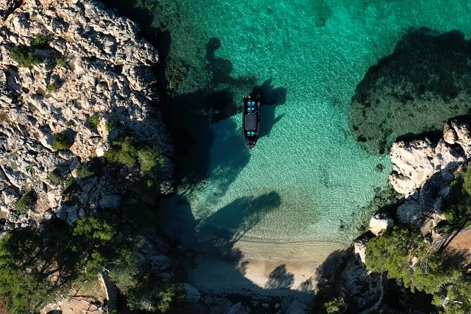 Charter Tour of Palma Bay: Snorkeling and Paddle Surfing - Price and value: what $78.02 buys in Mallorca water time