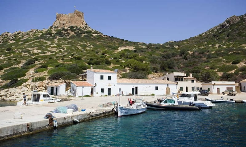 Colonia Sant Jordi: Classic & Express Boat Tour to Cabrera - Botanic Garden and Ensiola Lighthouse: Easy Wins on Foot