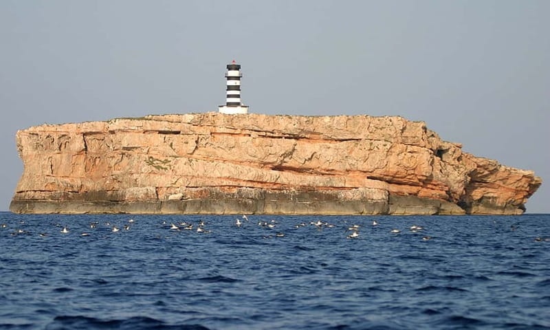 Colonia Sant Jordi: Premium & Fast Boat Tour around Cabrera - From Colonia Sant Jordi to Foradada, your first taste of Cabrera