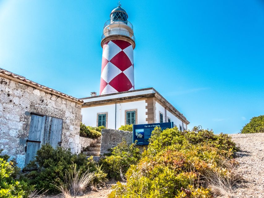 Colonia Sant Jordi: Premium & Fast Boat Tour around Cabrera - Getting the timing right: why the itinerary feels tight (or perfect)