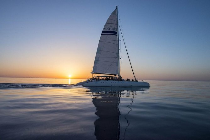 Day Catamaran Trip: Cap des Freus and Llevant Natural Park - Natural Park Mallorca: why the boat makes the difference
